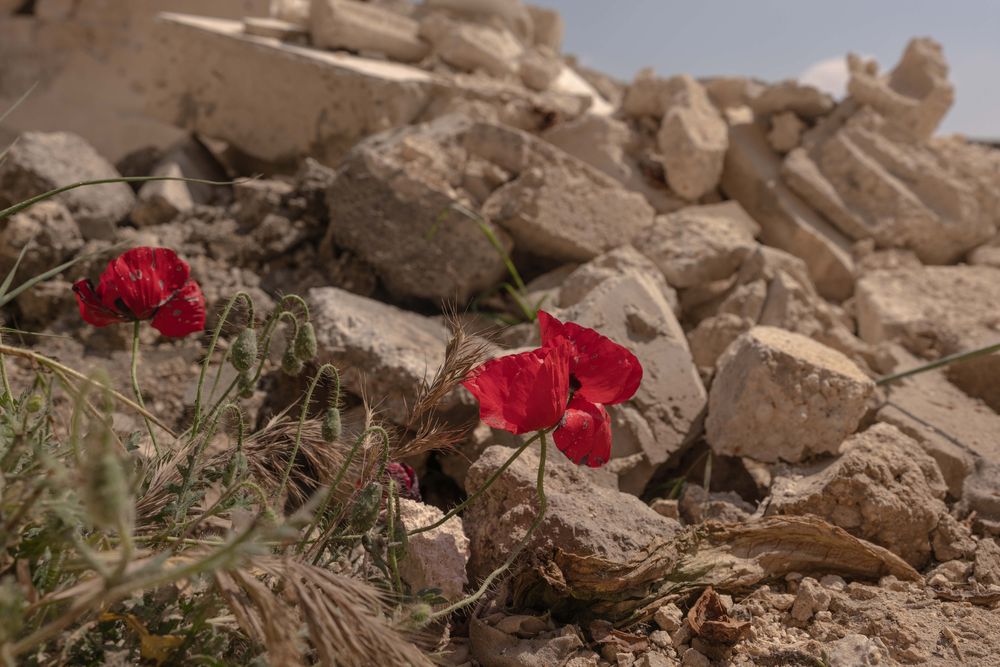 syria