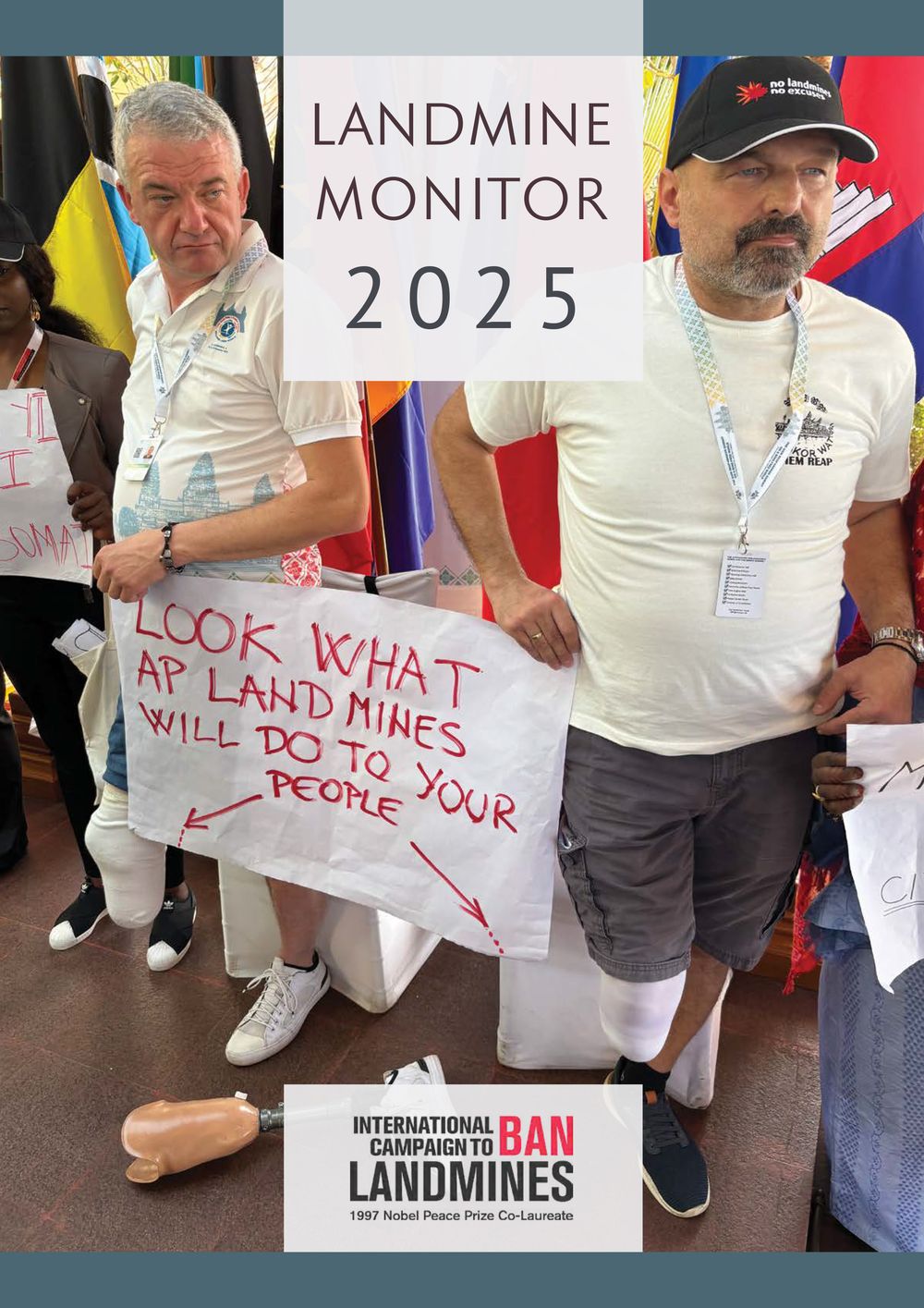 landmine monitor 2025