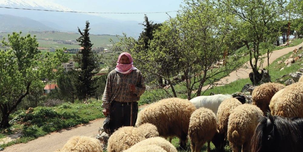 lebanon